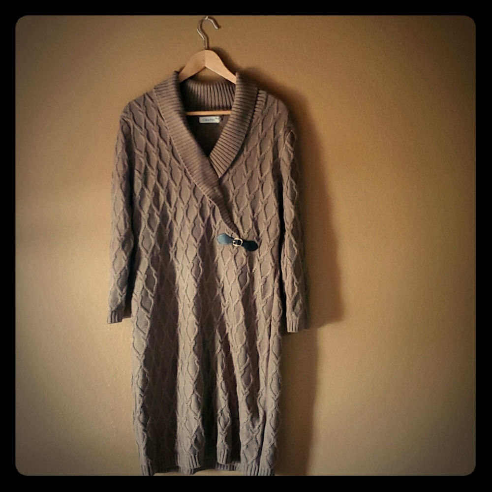 Calvin Klein  sweater dress or extra long tunic